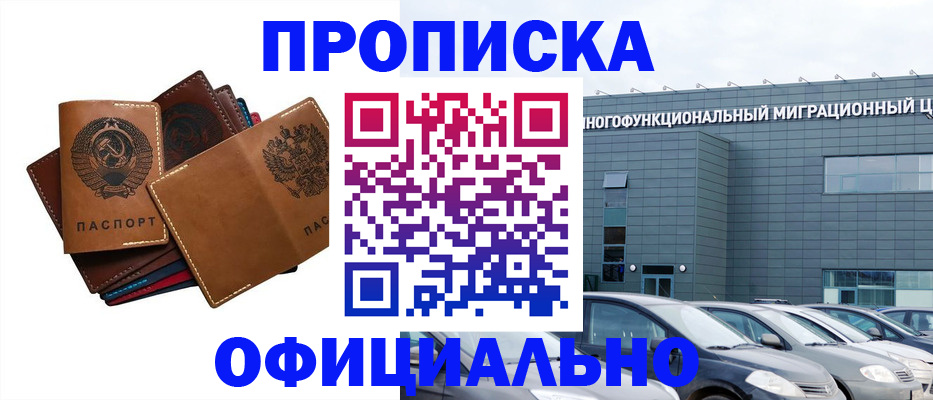 прописка в квартире в Лыткарино